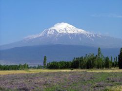 B-ararat