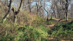 �-IMG_8209