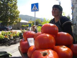 B-Kabali-tomatoes