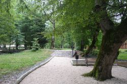 B-lagodekhi-forest-park-4