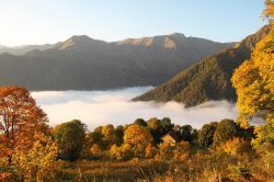 G lagodekhi protected areas by Toko Kochkiani