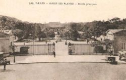 G Jardin des plantes