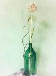 N bottle with flower