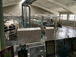 G milking parlor