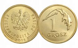 G Polish coins